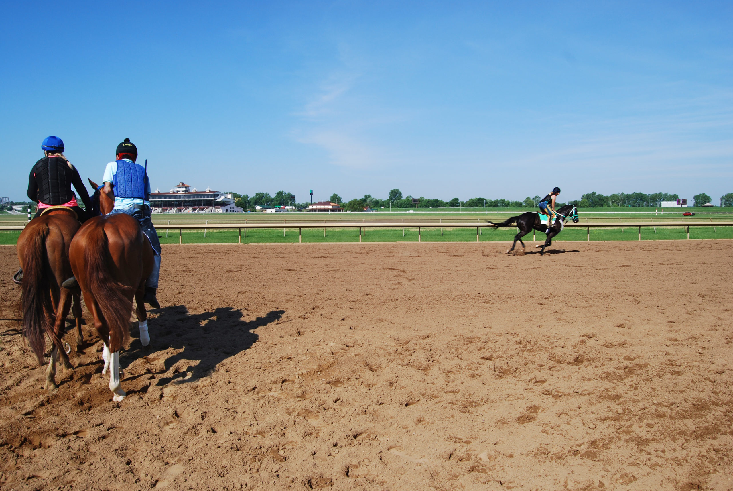 Thoroughbred horses warm up for daily exercise around the track at Ellis Park. 