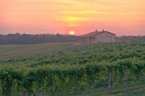 A pink and orange sunset sets behind the rolling hills of grape vines at Boucherie Winery.