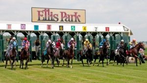 Thoroughbred horses dash out of the starting gate during a turk races at Ellis Park in Henderson.