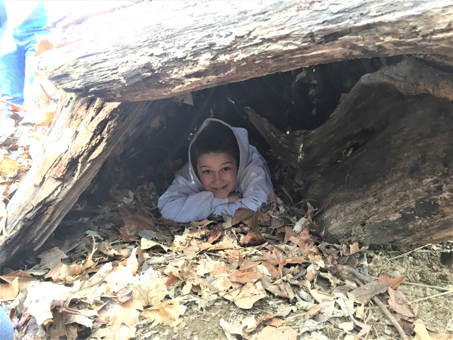 Wilderness Survival debris hut2 by Lisa Hoffman