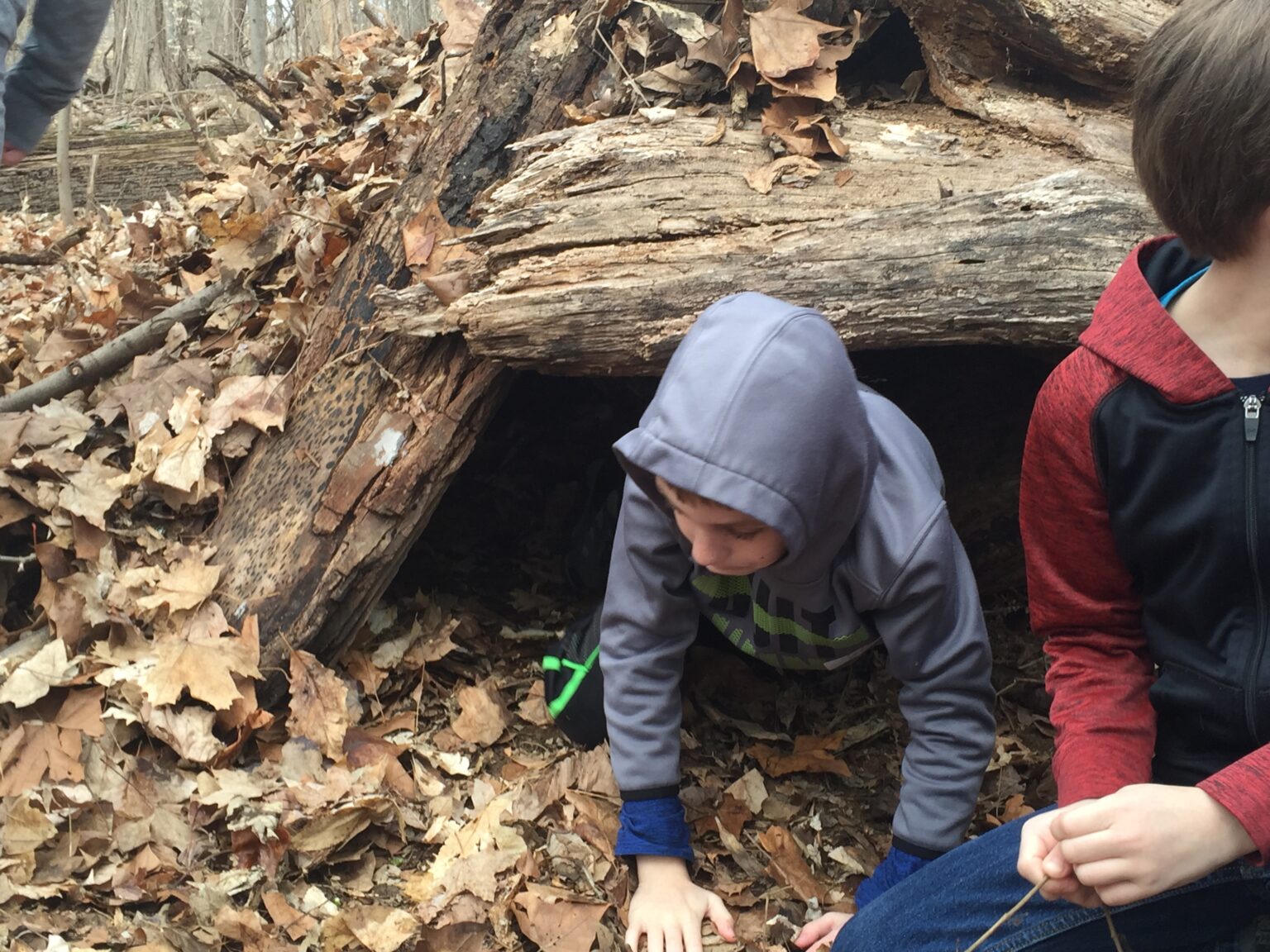 Wilderness Survival debris hut3 by Lisa Hoffman