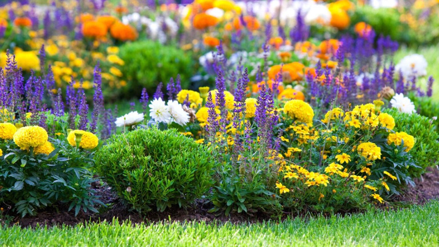 XDYmyY2eSMZxXUtTfNMExR