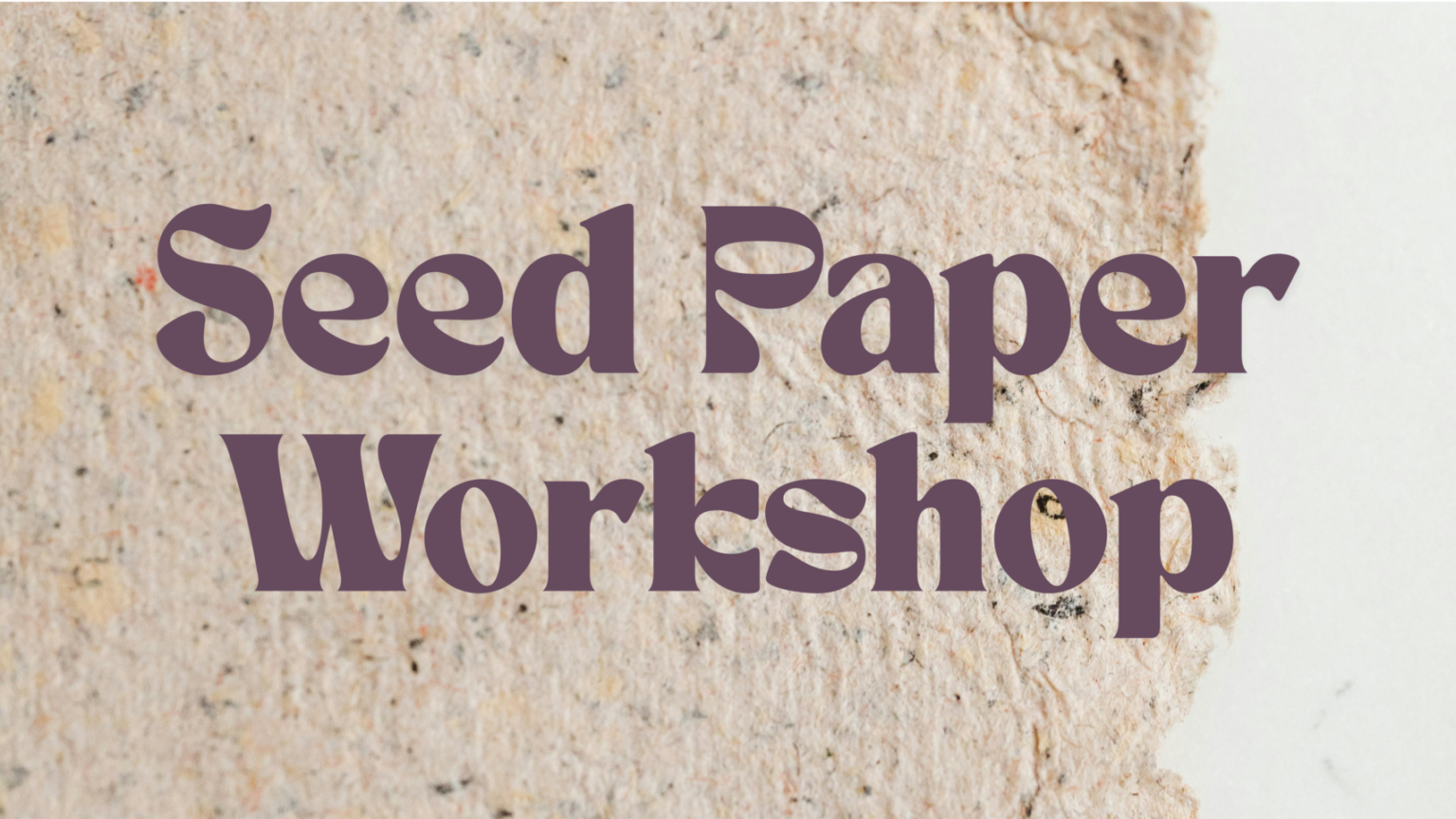 Seed Paper Workshop